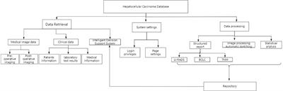 Development of a hepatocellular carcinoma imaging database and structured imaging reports based on PACS, HIS, and repository